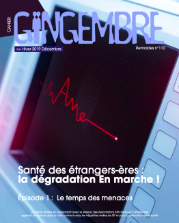 gingembre 41 santé des personnes étrangères