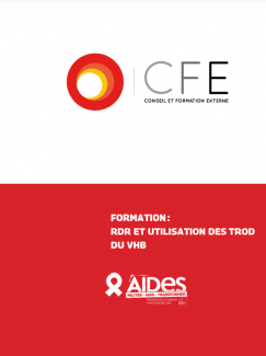 Formation RDR et utilisation des TROD du VHB (hépatite B)